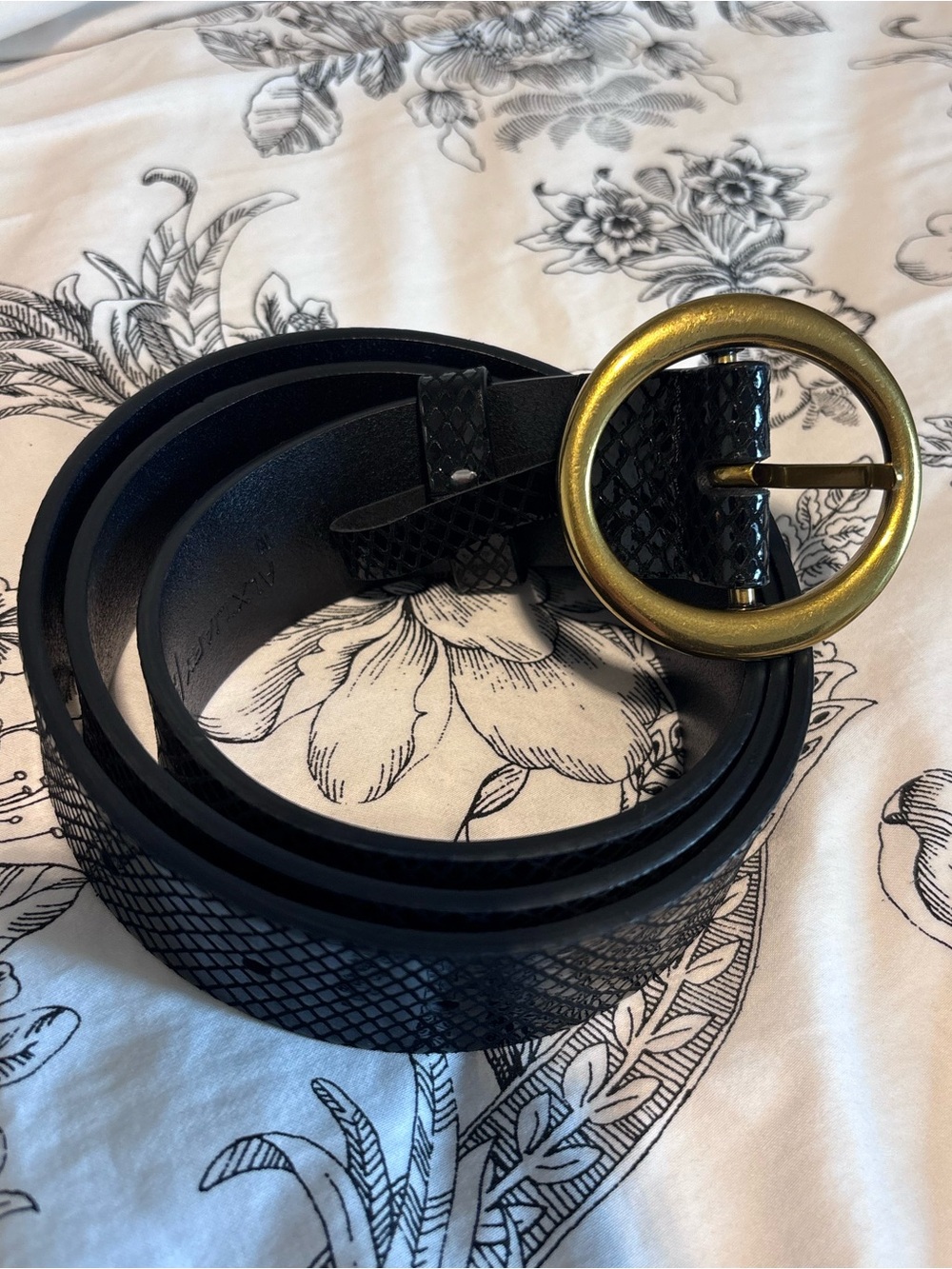 Aritzia black solid brass snakeskin genuine leather belt - medium